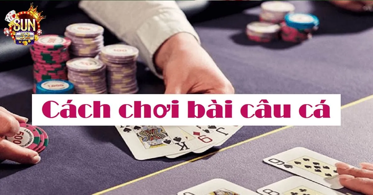 Cách Chơi Bài Câu Cá Cơ Bản Cho Người Mới Tham Gia Cách chơi bài câu cá chi tiết