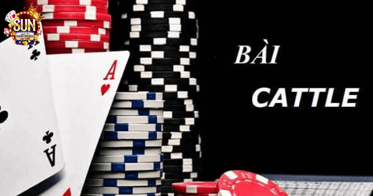 Game Bài Catte Sun52 - Luật Và Cách Chơi Cho Tân Thủ Game bài bài catte là gì?